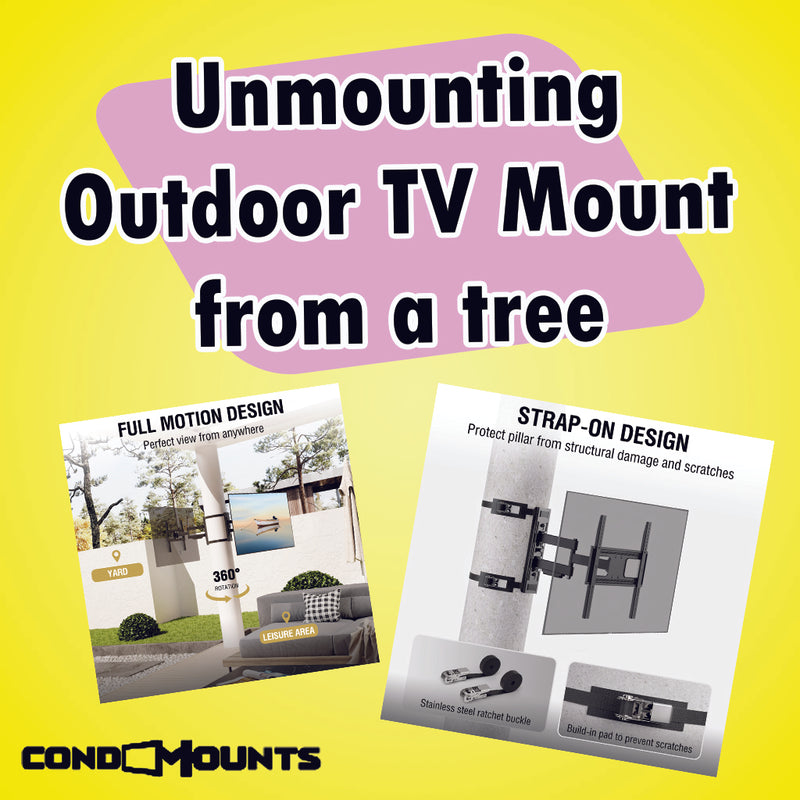 Unveiling the Untangling: How to Unmount a TV from a Tree!